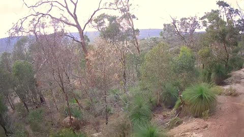 Drone Peron and Zig Zag - Apr 2025