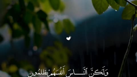 🔥 Surah Yūnus 10:43–44 — سورة يونس⚡👁️#Quran #shorts #Viral #YouTubeShorts #love #trending #short