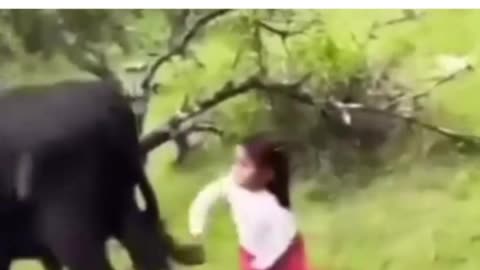 janwar ma bhi insaniyat hoti hai