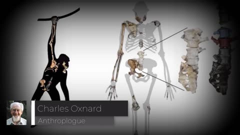 ON NE PROVIENT PAS DU SINGE