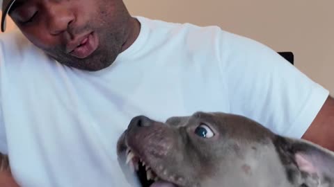 Why dad is messing with blue like that?