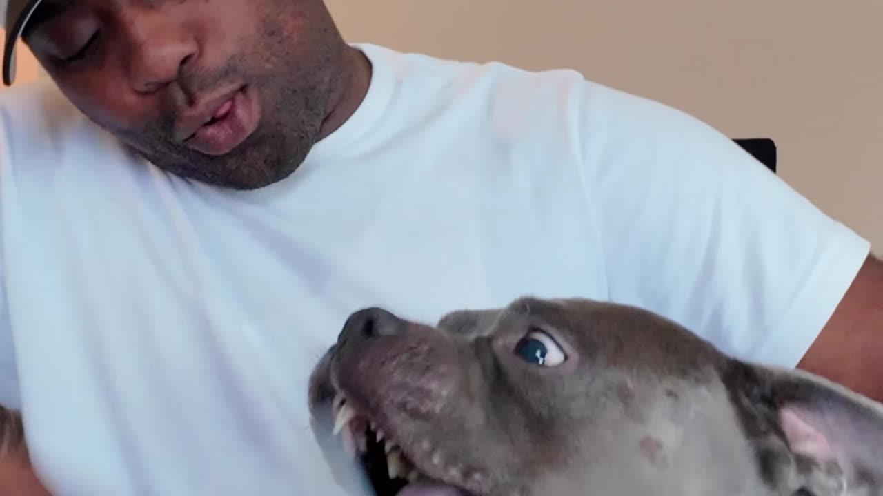 Why dad is messing with blue like that?