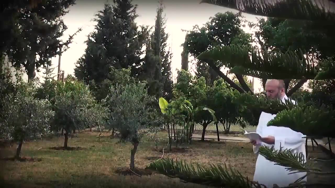 برومو حلقة على الهواء كل اثنين