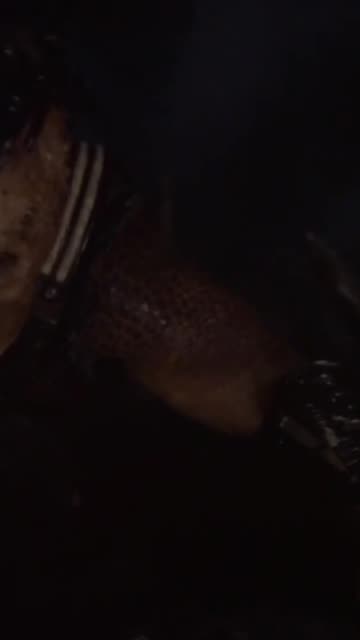 Predador: Terras Selvagens