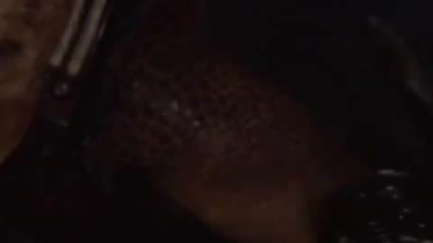 Predador: Terras Selvagens