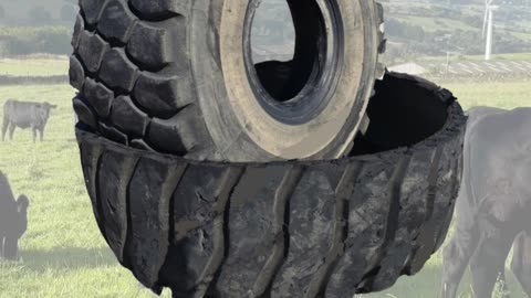 Tire Tanks Delivered