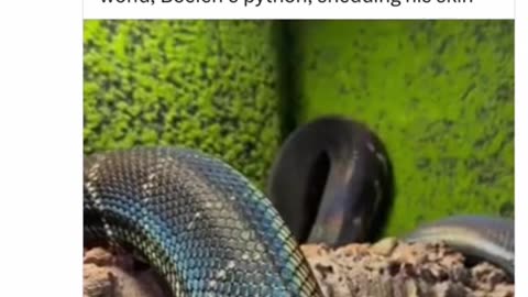 Do you see