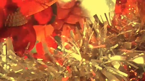 8 de diciembre, se arma el arbolito de Navidad