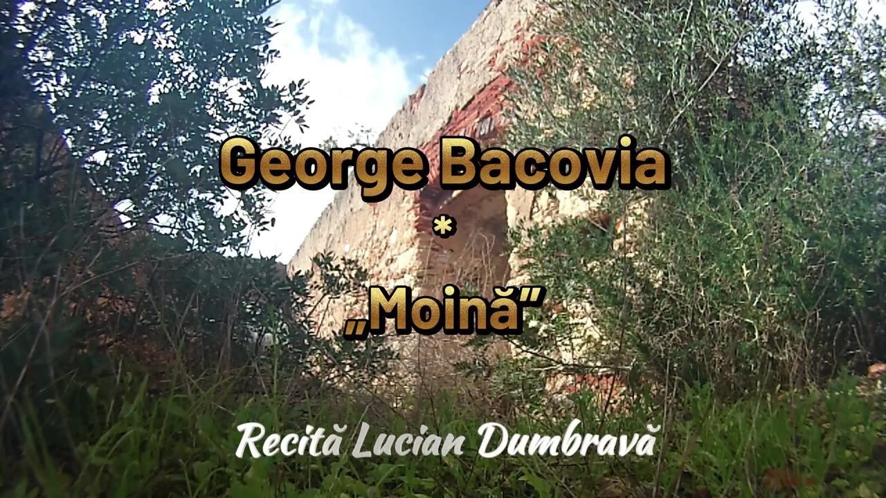 George Bacovia - Moină