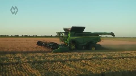 U.S. Soybeans CUT To Zero — American Farmers BANKRUPT & Trade War BACKFIRED