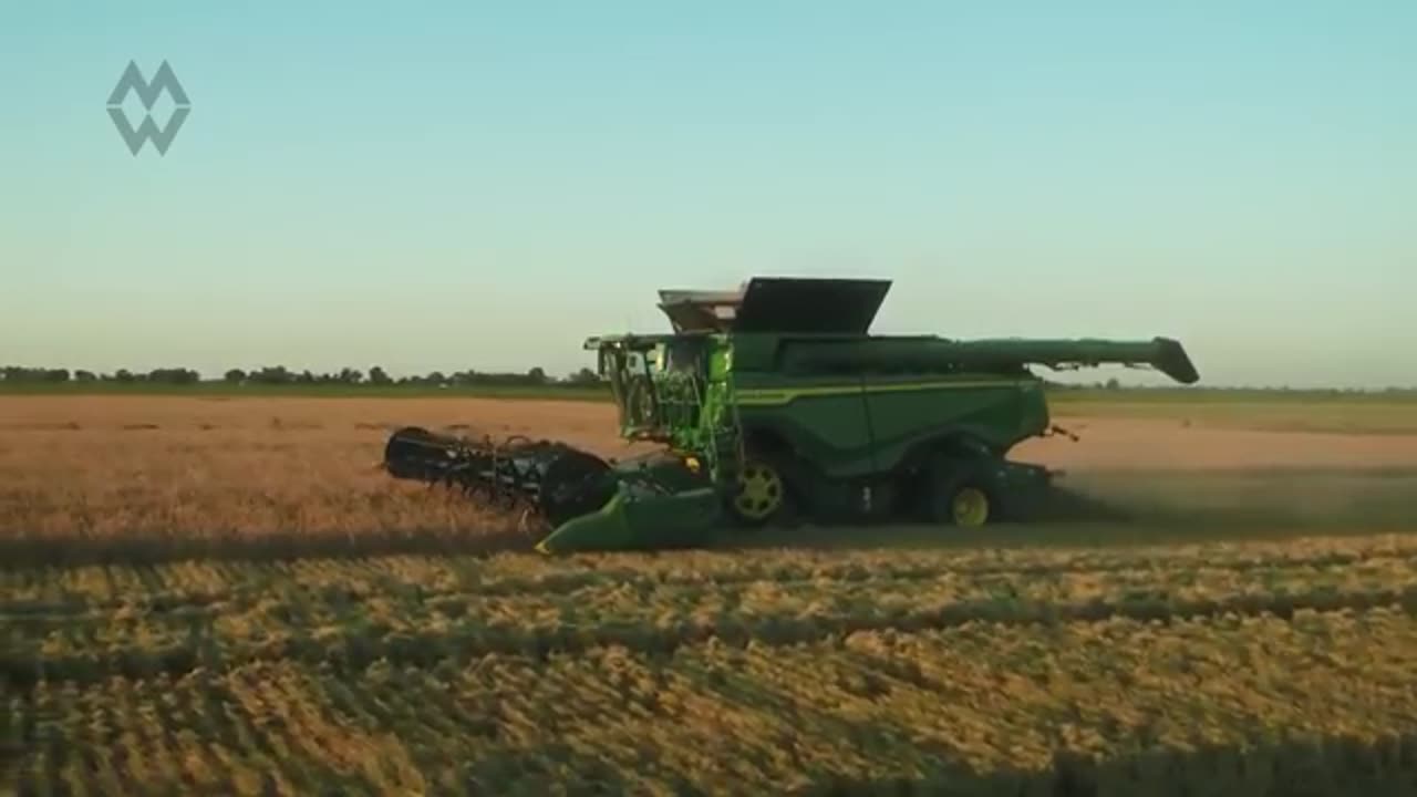 U.S. Soybeans CUT To Zero — American Farmers BANKRUPT & Trade War BACKFIRED