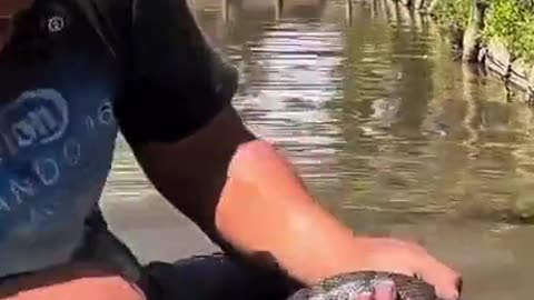 What A Big Snake