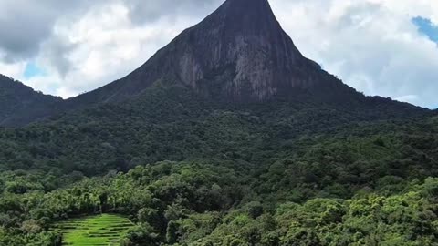 Mimure in ceylon sri lanka