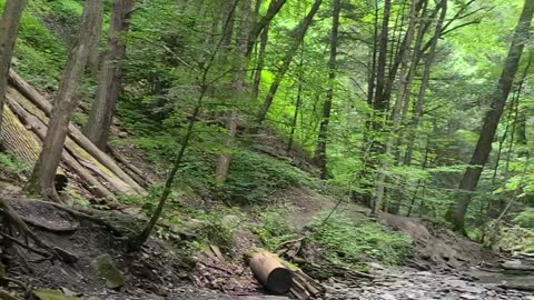 Grimes Glen - Farther Up the Glen -