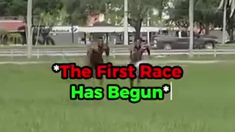 SPEED VS ASHTON HALL!!!!(THEY RACED 4 TIMES!!)