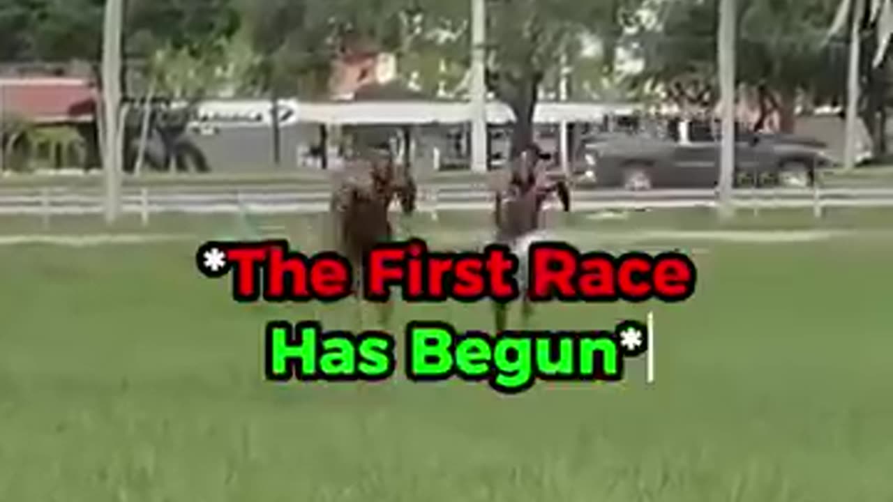 SPEED VS ASHTON HALL!!!!(THEY RACED 4 TIMES!!)