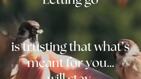 Letting go isn’t losing. It’s opening up