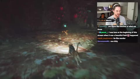 114 Cat Game