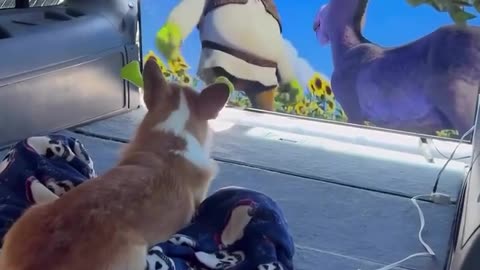 😂🌟 He's Living His Best Life! | FunFM
