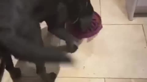 Snow rider