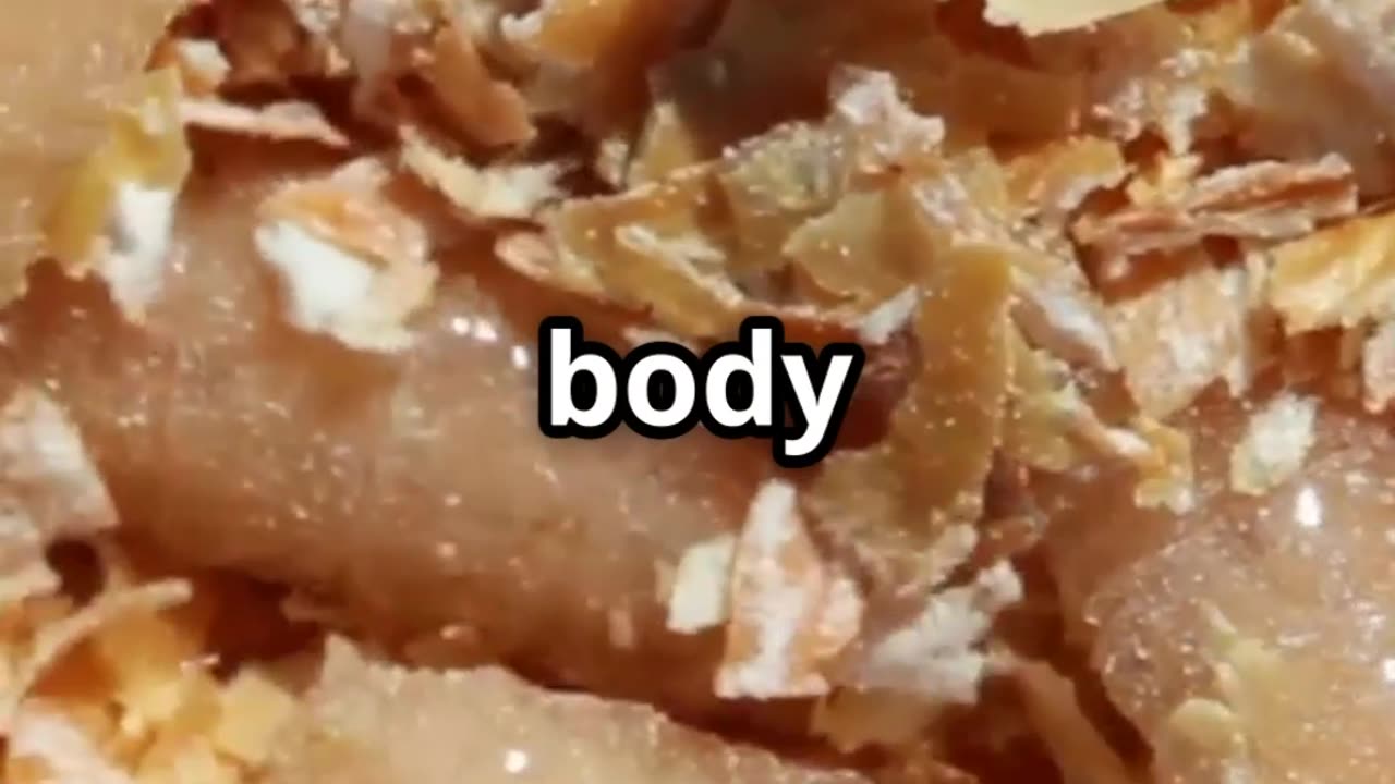 🧬🔍 DNA from a Maggot’s Gut Solving Crimes with Forensic Entomology! 🪱🕵️♂️