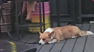 I watch this 1000 times!