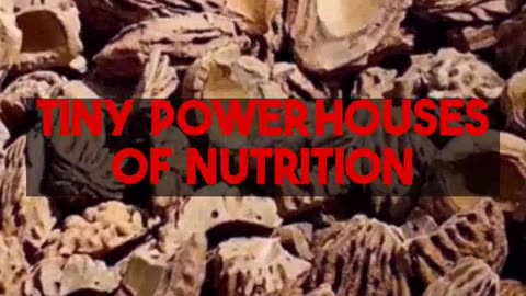 Comprehensive Guide to Sunflower Seeds Health Benefits