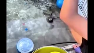 😭😂 Poor Lil Bro! | FunFM