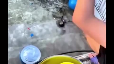 😭😂 Poor Lil Bro! | FunFM