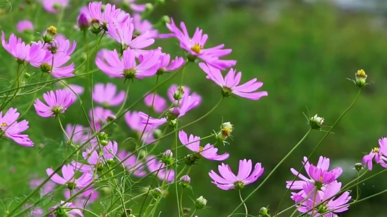 God sees everything you do