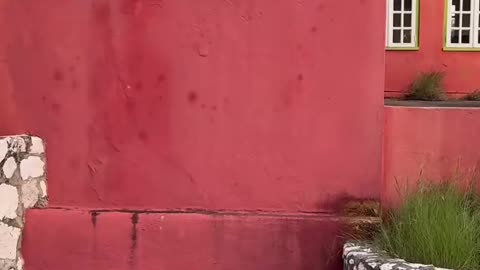 💥🛹 This Narrow Gap is Hectic! | SkateNation