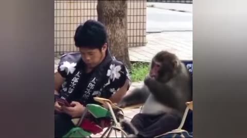 Cute animals, smart animals baby animals