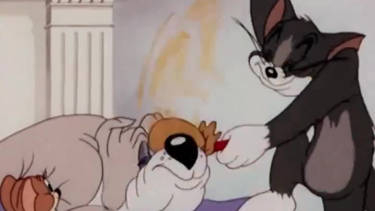 Tom and jarry funny vidieo