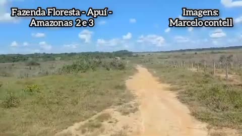 Fazenda Floresta - Apuí - Amazonas 3
