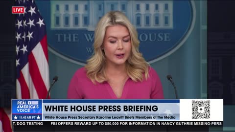 PRESS TRIGGERED BY TULSI GABBARD INVOLVED IN GEORGIA VOTER FRAUD?