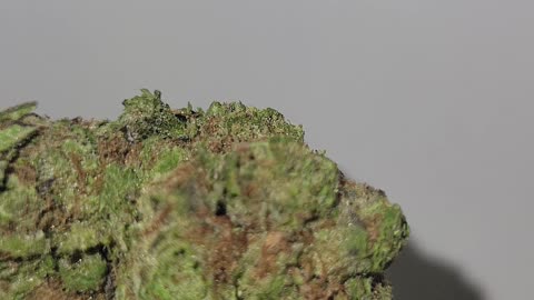 RudeBoi OG THC Flower Madison WI