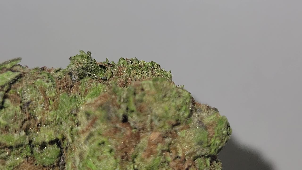 RudeBoi OG THC Flower Madison WI