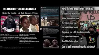 Black African Claims that Whitles are an Inferior Species