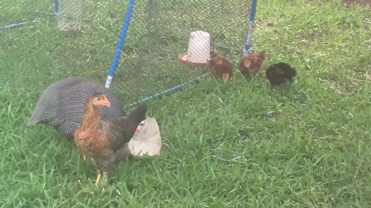 I love you you love me we're a happy family.