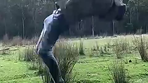 Real Life vs AI. part 1
