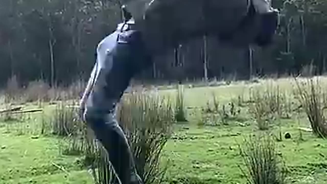 Real Life vs AI. part 1