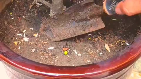 Key 🔐🔐🔐 lock