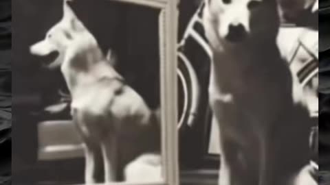 😨👻 You Won't Believe What They Caught on Camera! | TheHauntingHour