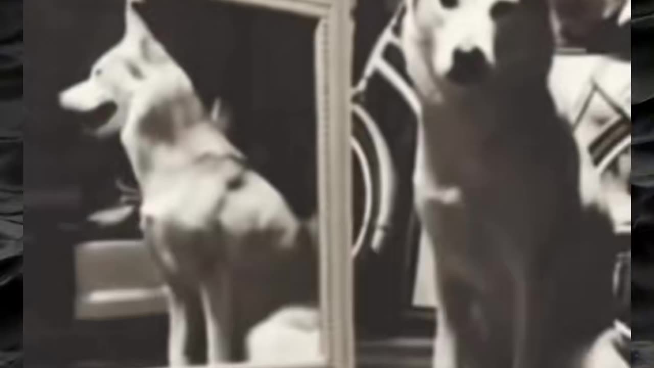 😨👻 You Won't Believe What They Caught on Camera! | TheHauntingHour