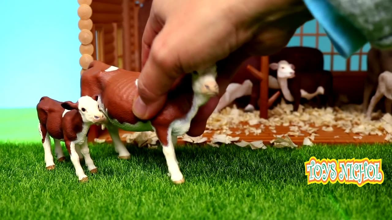 Hen Guards the Eggs in the Nest Which Will Hatch in Two Days