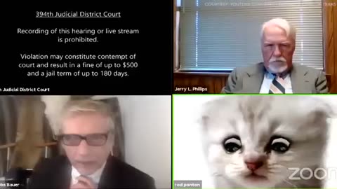Viral: Texas attorney accidentally leaves cat filter on during Zoom call | ABC7