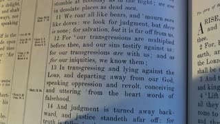 A via negativa description of the Kingdom