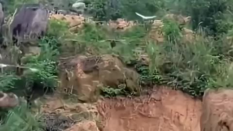 Chicken invaders