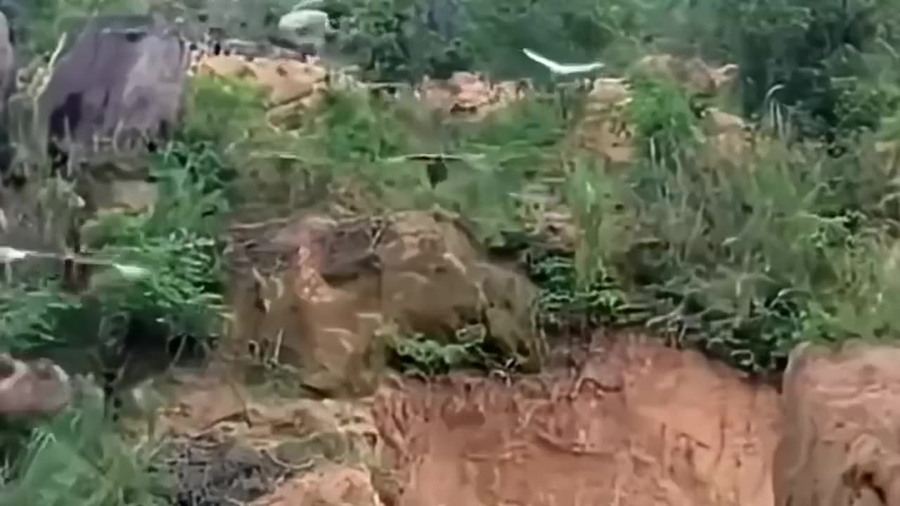 Chicken invaders