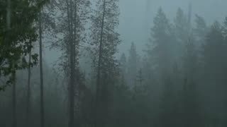 Rain ambiance for sleep and relaxing